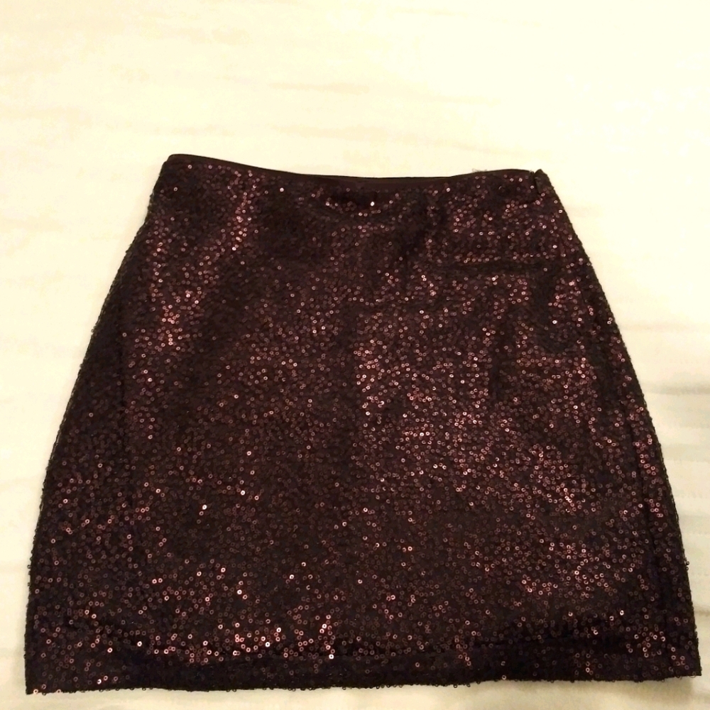 Ann Taylor Brown Sequenced Skirt